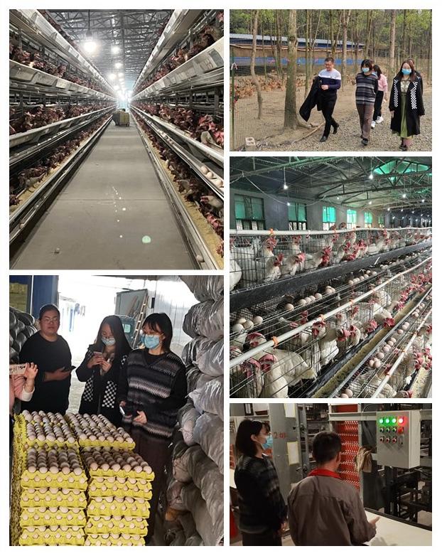 老子有钱lzyq88(中国)有限公司