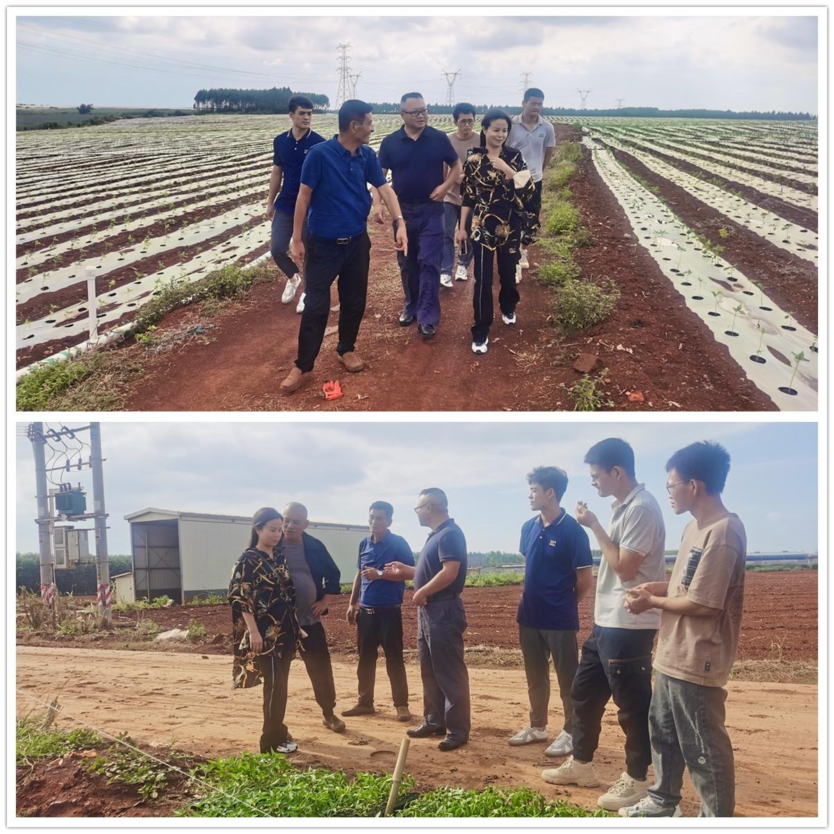 老子有钱lzyq88(中国)有限公司