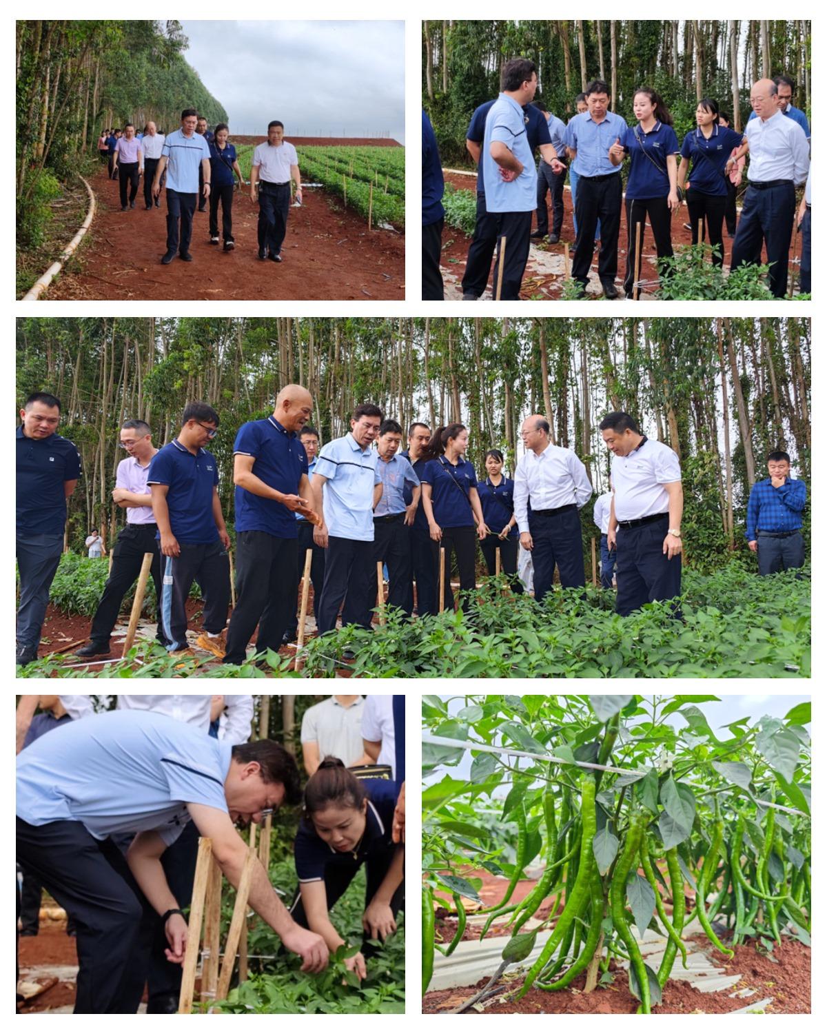 老子有钱lzyq88(中国)有限公司