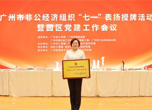标杆引领，荣誉升级！集团党支部荣膺广州市非公有造经济组织“双强六好”标