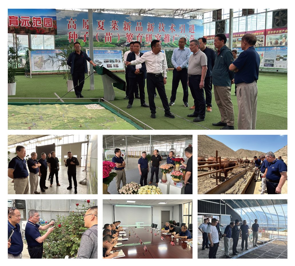 老子有钱lzyq88(中国)有限公司