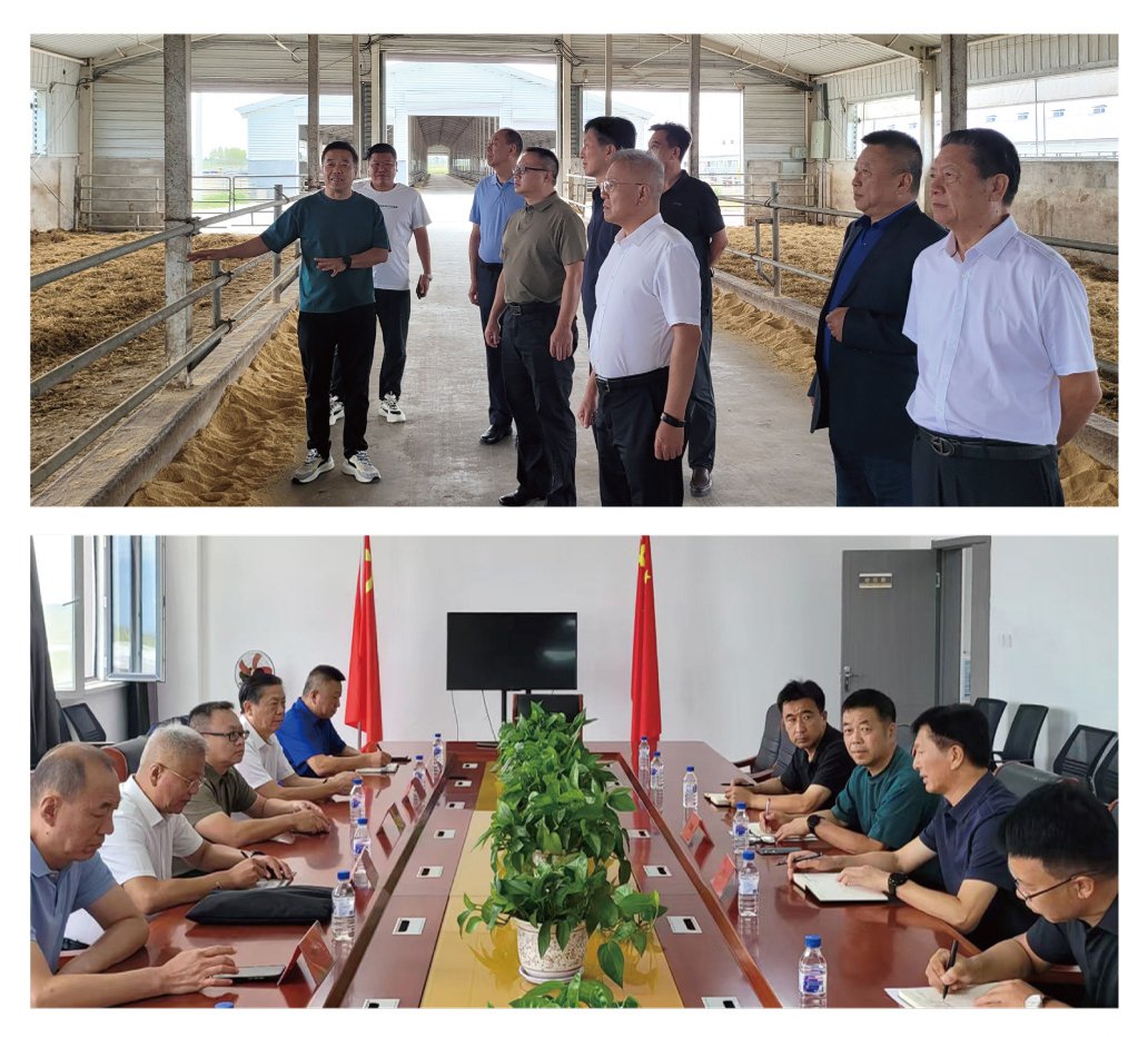 老子有钱lzyq88(中国)有限公司