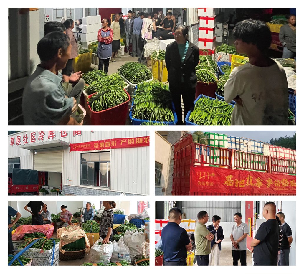 老子有钱lzyq88(中国)有限公司